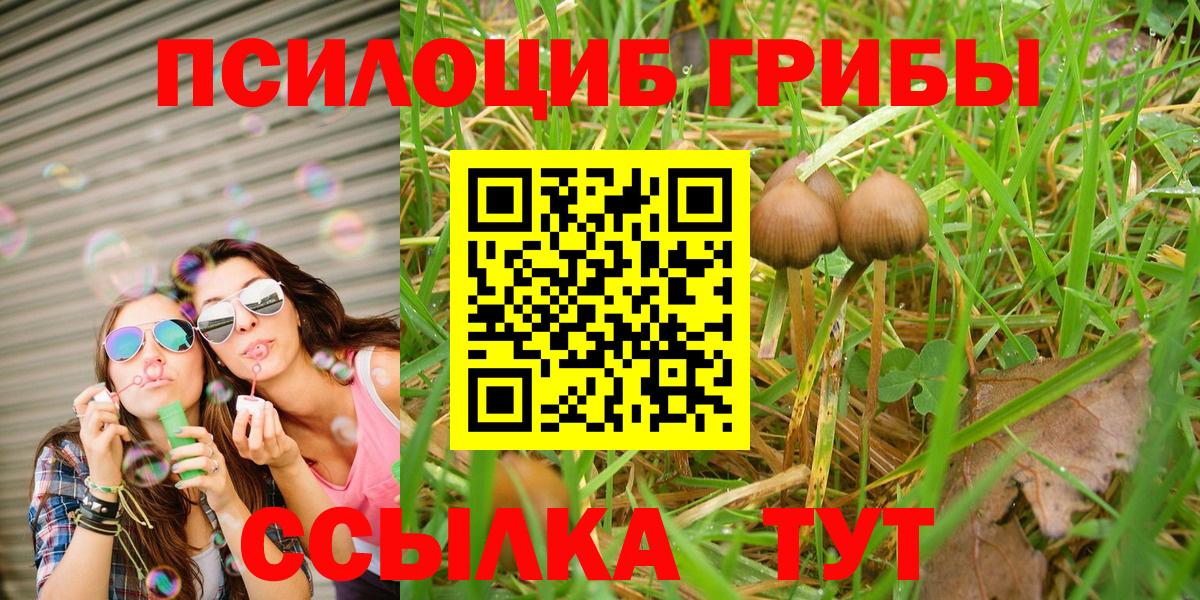 Гусиноозёрск  Галлюциногенные грибы Psilocybine cubensis  Вход с VPN 