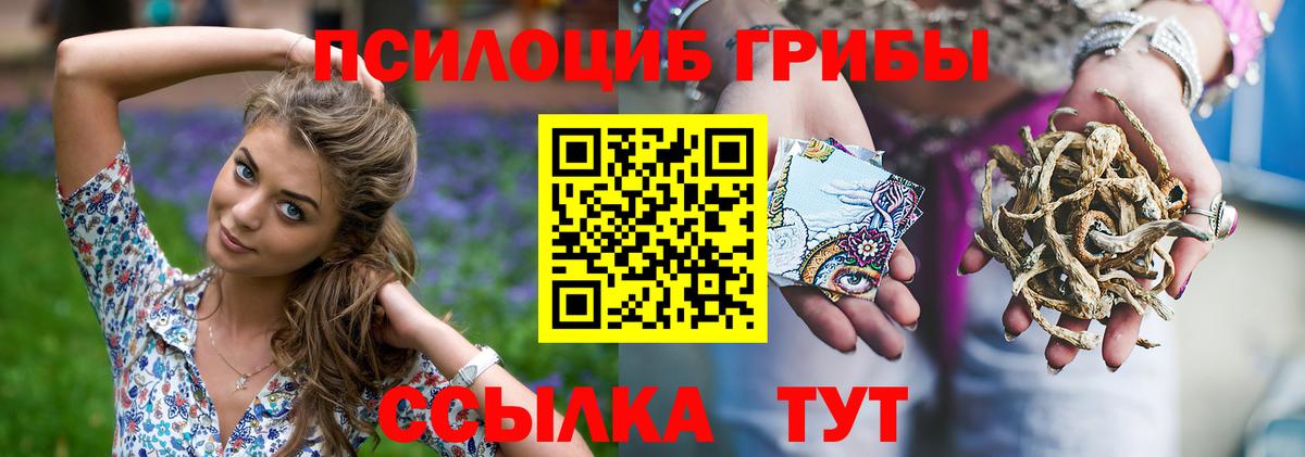 Псилоцибиновые грибы мицелий Гусиноозёрск